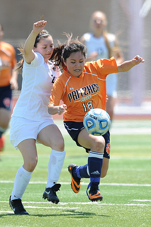Photo for the Pioneer Press by