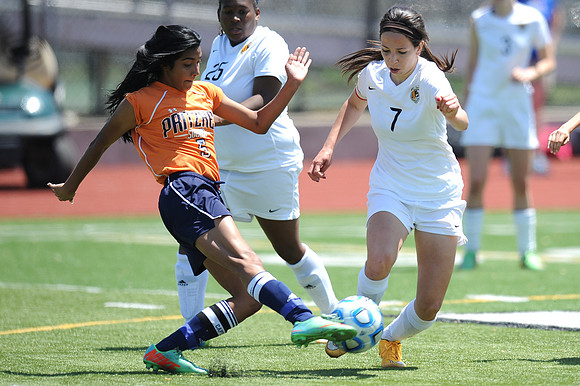 Photo for the Pioneer Press by