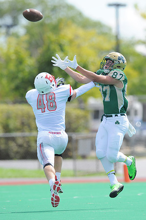 Photo for the Pioneer Press by