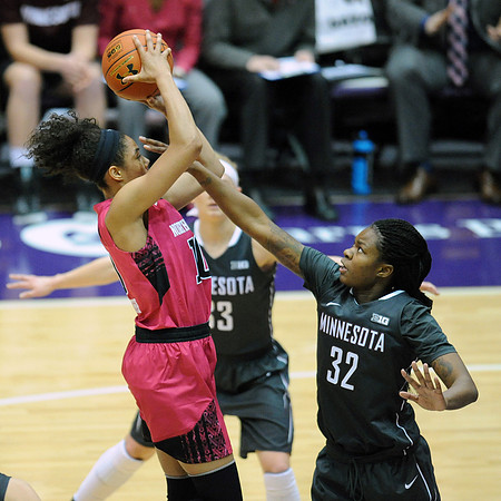 NCAA BASKETBALL: FEB 07 Women's - Minnesota at Northwestern