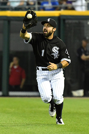 MLB: JUN 29 Twins at White Sox