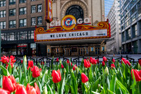 News: Re-Open Illinois Protest