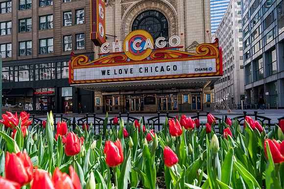 News: Re-Open Illinois Protest