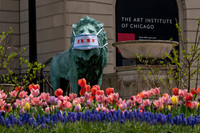 News: Re-Open Illinois Protest