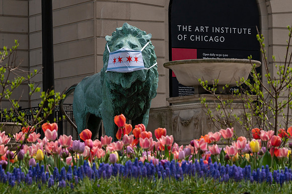 News: Re-Open Illinois Protest